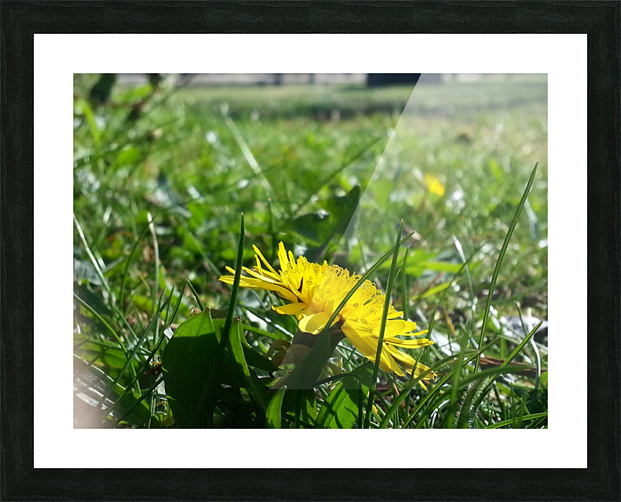20130501_172910 Picture Frame print