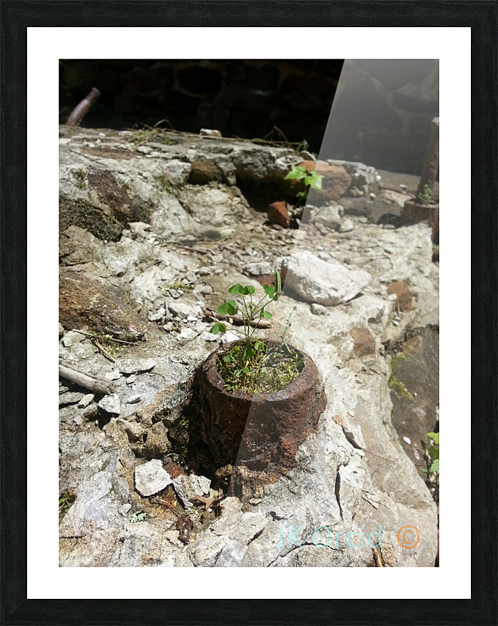 rustyplant Picture Frame print