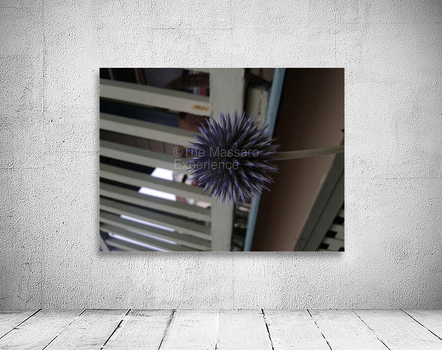 20170927_171815 Wall Preview