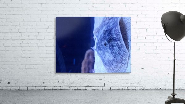20180222_133132 Wall Preview