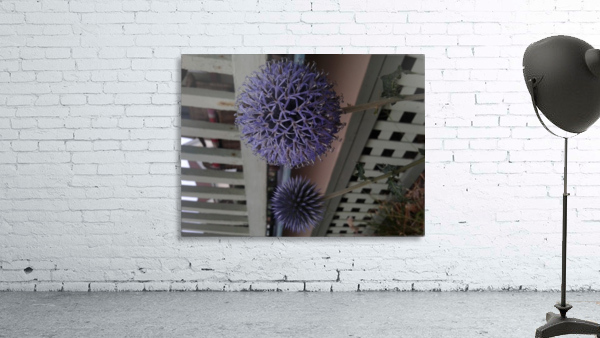 20170927_171801 Wall Preview