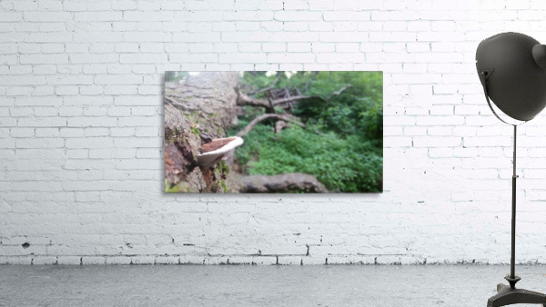 20150705_185111 Wall Preview