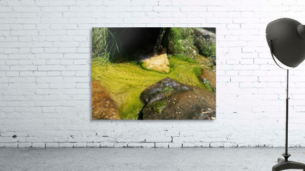 20130611_132539 Wall Preview