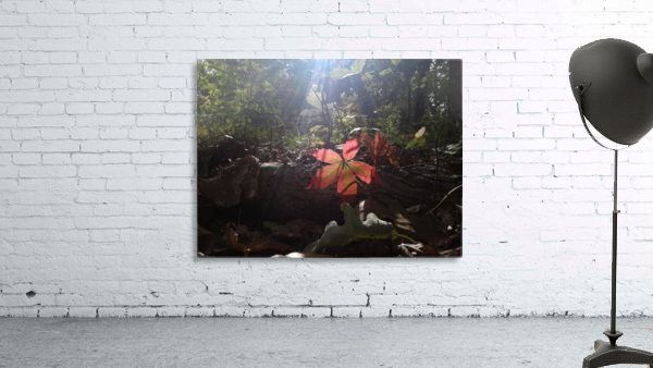 20170920_153652 Wall Preview