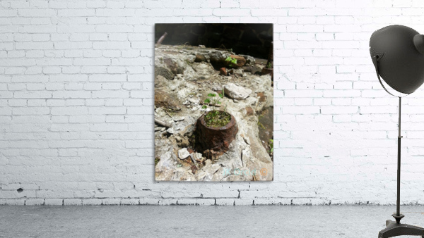 rustyplant Wall Preview