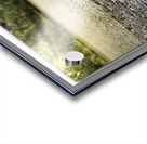 Rise through the Impossible Acrylic print