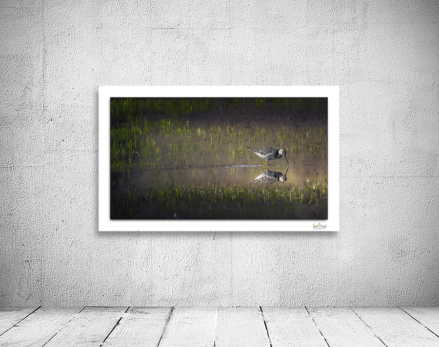 Grassland Reflection Wall Preview