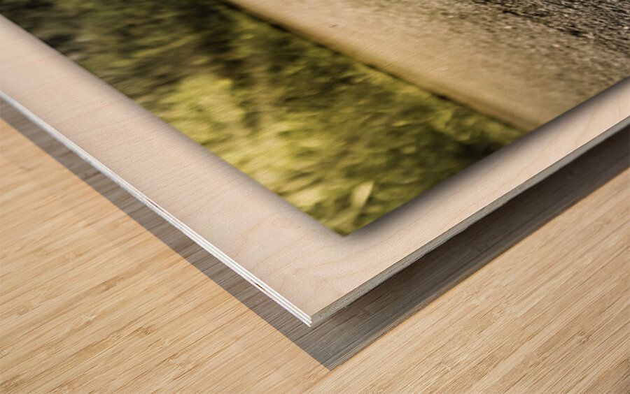 Rise through the Impossible Wood print