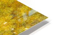 elevation  HD Metal print