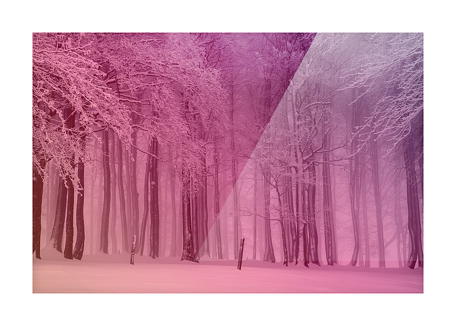 Warm Winter Snowy Forest Picture Frame print