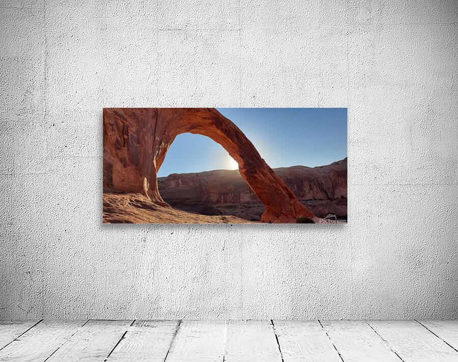 The Corona Arch  Wall Preview