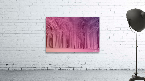 Warm Winter Snowy Forest Wall Preview