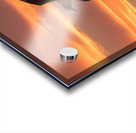 a stunning photograph of a bird soaring through t Acrylic print