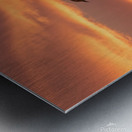 a stunning photograph of a bird soaring through t Metal print