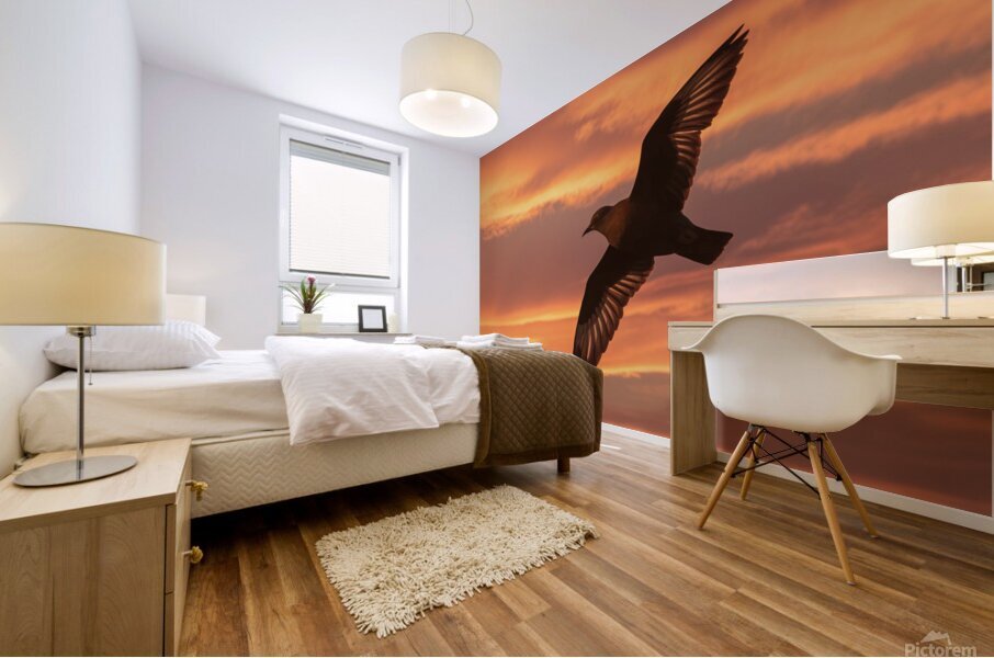 a stunning photograph of a bird soaring through t Mural print