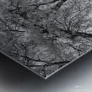 Centennial Park Galt Ontario Canada 1 Metal print