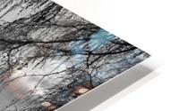 Annandale House HD Metal print