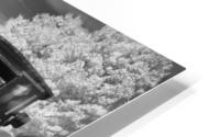 menno infrared HD Metal print
