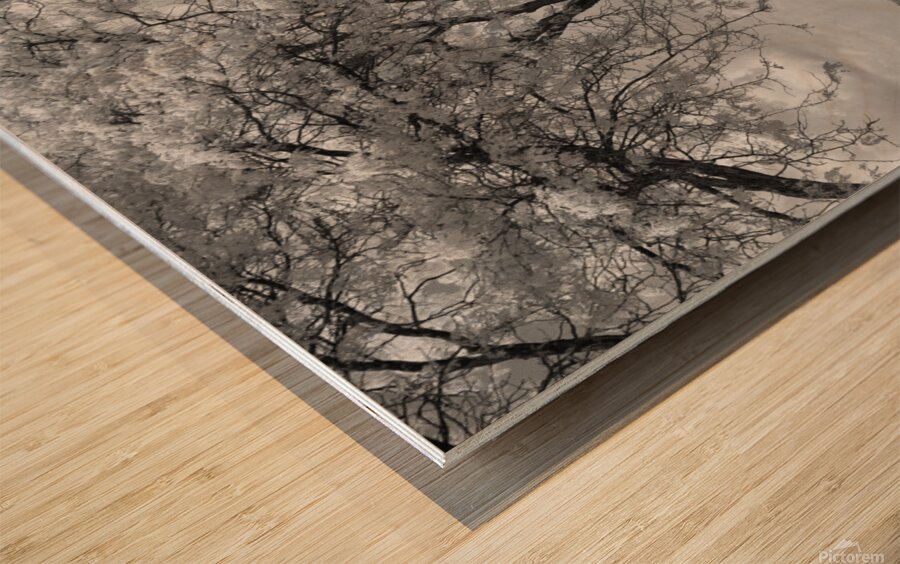 Centennial Park Galt Ontario Canada 1 Wood print