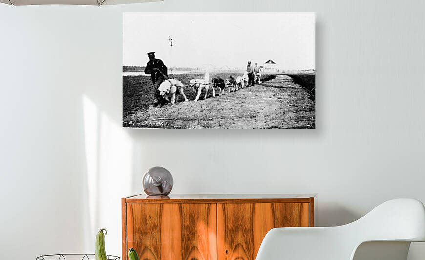 Dog Sled Hay River Northwest Territories circa 1921 by Canadian Retro