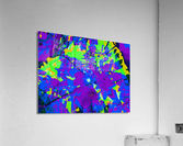 Figrow 2 Acrylic Print