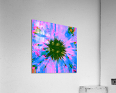 Hover 7 Acrylic Print