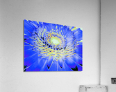 Crater 3 Acrylic Print