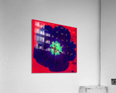 Blue Petl G Acrylic Print