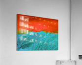 Dune 4 Acrylic Print