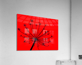 Tikler 1 Acrylic Print