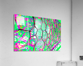 Multigon 2 Acrylic Print