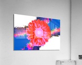 Orangebom 8 Acrylic Print