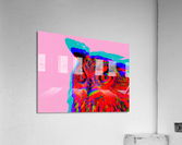 Sage 1 Acrylic Print