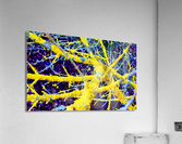 Liken G Acrylic Print