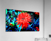 Spyk 2 Acrylic Print