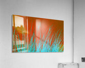 Tunes 3G Acrylic Print