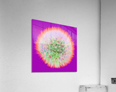 Dandy 3G Acrylic Print