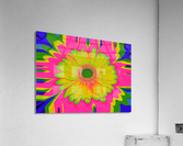 OJ Bloom 8G Acrylic Print
