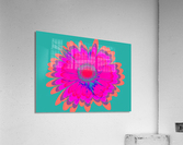 OJ Bloom 14G Acrylic Print