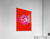 Sukker 3G Acrylic Print