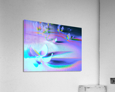 Flutter 3 Acrylic Print
