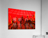 Dunestem 5 Acrylic Print