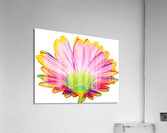 Geraisy 1 Acrylic Print