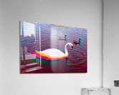 Sefton 2 Acrylic Print