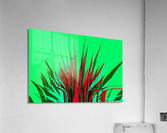 Seftonyukka 4 Acrylic Print