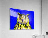 Sage 4LG Acrylic Print