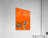Suma inc message 1 Acrylic Print