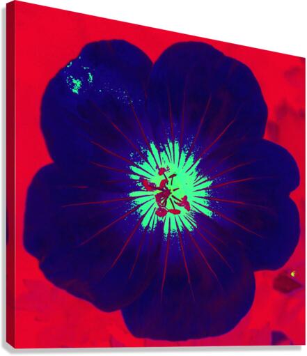 Blue Petl G Canvas Print
