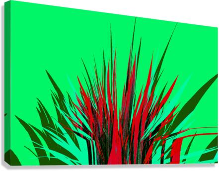 Seftonyukka 4 Canvas Print