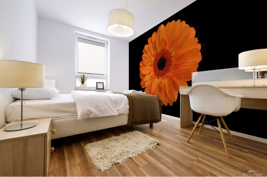 Orangebom 1 Mural print